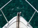 When and How to Replace Your Marine Cushions for Optimal Comfort